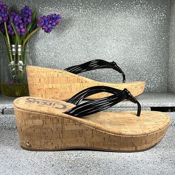 Circus By Sam Edelman Wedge Sandals Flip Flops Shoes Size 10 - Picture 2 of 9